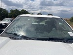 General Appearance with Glass