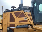 General Appearance with Paint