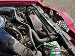 Engine with Radiator