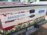General Appearance with Paint