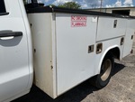 General Appearance with Paint