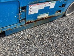 General Appearance with Paint