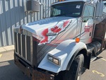 General Appearance with Paint