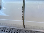General Appearance with Paint
