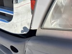 General Appearance with Paint