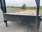 General Appearance with Peinture