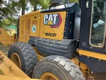 General Appearance with Paint