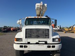 General Appearance with Paint