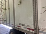 General Appearance with Paint
