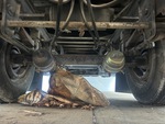 Trailer Chassis with