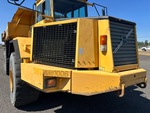 General Appearance with Paint