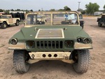 General Appearance with Paint