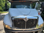 General Appearance with Paint
