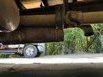 Engine with Exhaust System