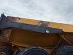 General Appearance with Paint