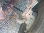 Brakes with