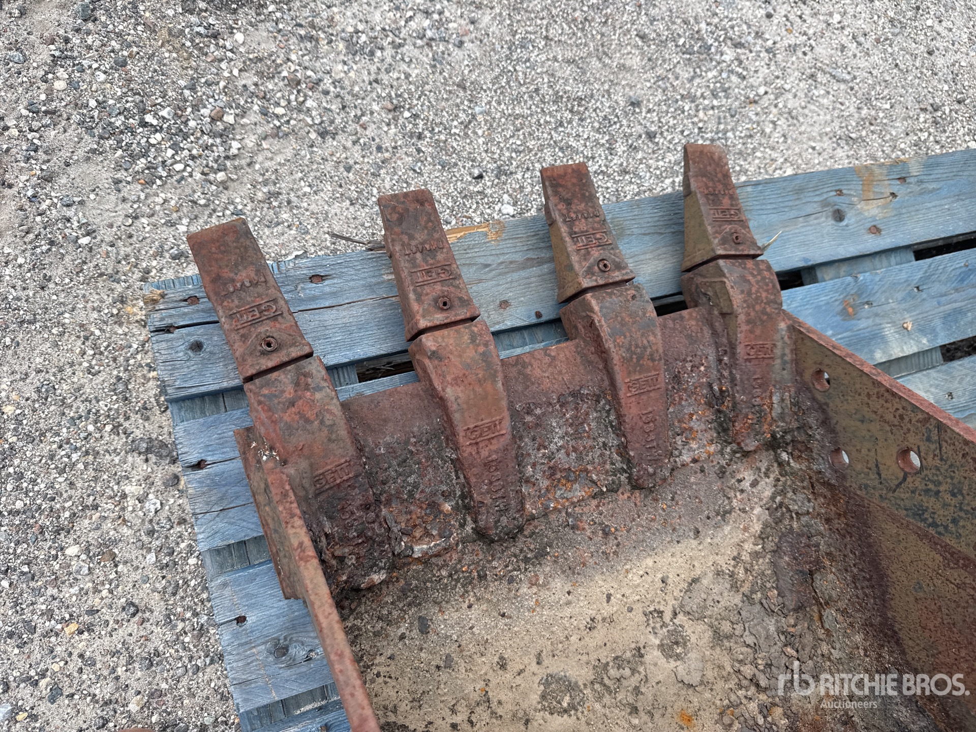 TAG 19 in Digging - Fits Case D100