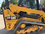 General Appearance with Paint