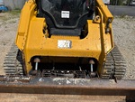 General Appearance with Paint