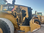 General Appearance with Paint