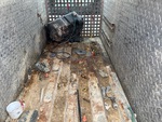 Options with