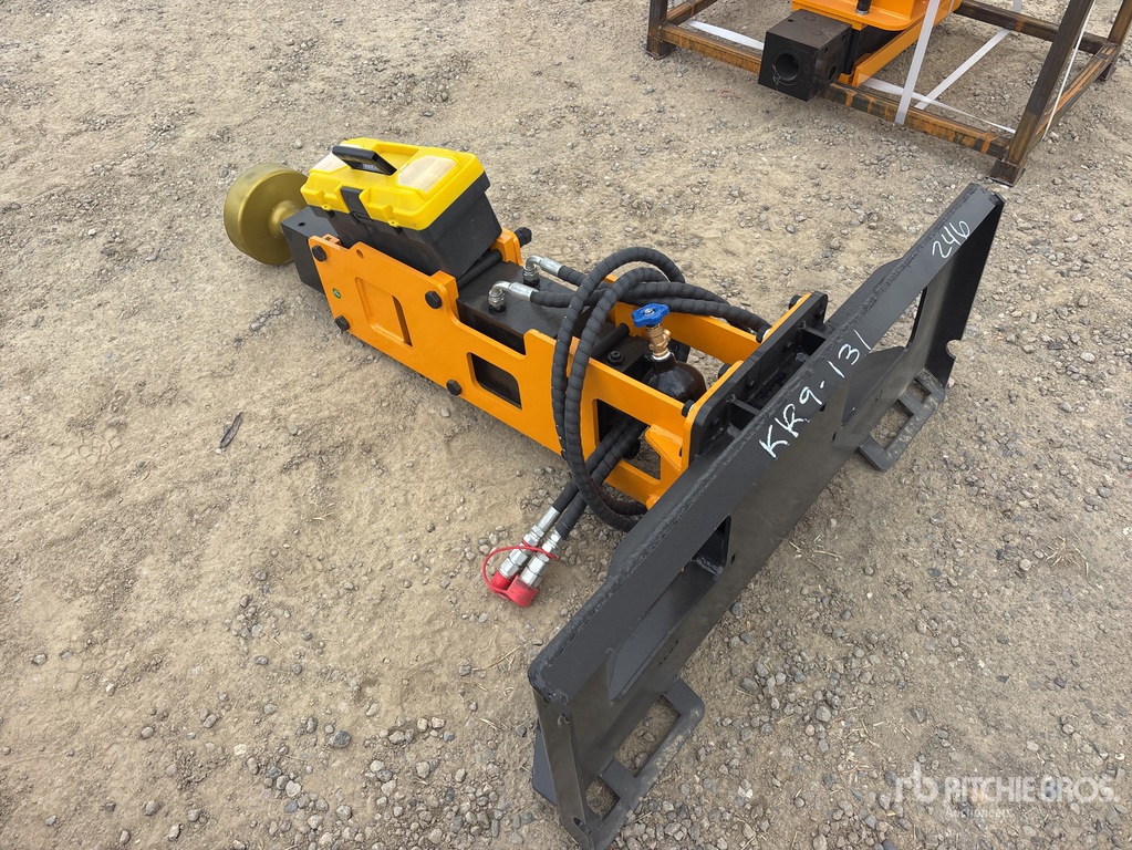 General Appearance with Bild, Ecke hinten links