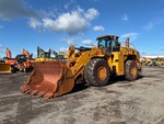 General Appearance with Spin