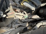 Engine with Fuel System