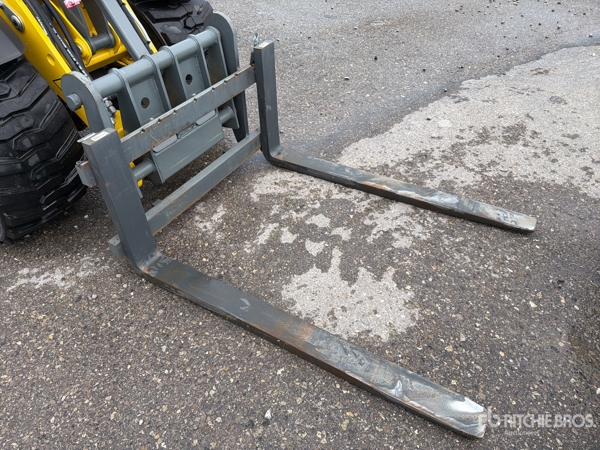 2023 Wacker Neuson WL20E (A09-01)