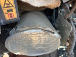 Engine with Exhaust System