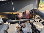 Engine with Exhaust System