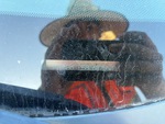 General Appearance with Frame Stamp Serial Number/VIN Photo