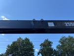 General Appearance with Paint