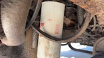 Engine with Fuel System