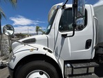 General Appearance with Paint