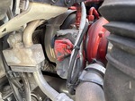 Engine with Exhaust System