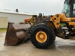 General Appearance with Paint