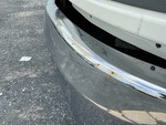 General Appearance with Paint