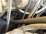 Engine with Oil Leaks