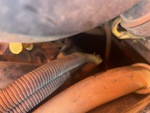 Engine with Oil Leaks