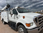 General Appearance with Paint