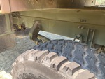 Chassis with Frame Condition