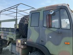 General Appearance with Paint