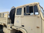 General Appearance with Paint