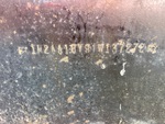 General Appearance with Frame Stamp Serial Number/VIN Photo