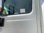 General Appearance with Paint