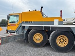General Appearance with Paint