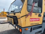 General Appearance with Paint