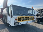 General Appearance with Paint