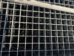 Engine with Radiator